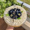 Tarte Myrtille Cassis Vanille