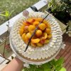Tarte Mirabelle Vanille