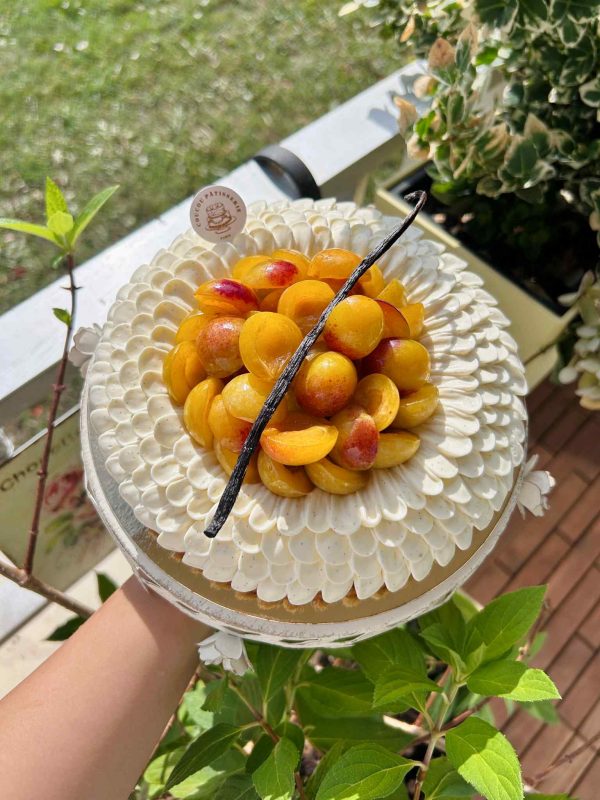 Tarte Mirabelle Vanille